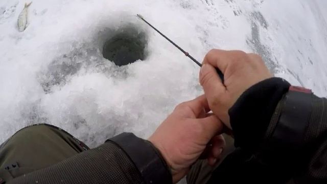 Пойма,Пологое Займище. смотреть онлайн