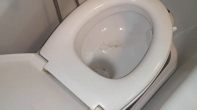 Дом, кухня и ванна: советы по уборке, ремонту и уходу