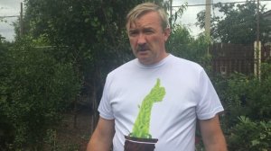 Зизифус выращиваем в Воронеже!