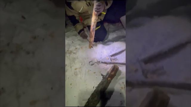 27 декабря 2023 г.