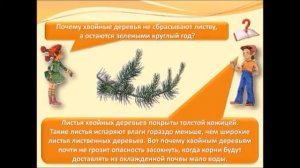 В ГОСТИ К ОСЕНИ УРОК ОКРУЖАЮЩЕГО МИРА 2 КЛАСС