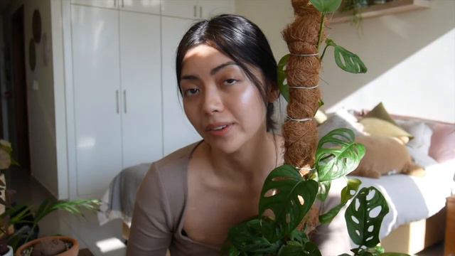 Top 5 Plants 2020! смотреть онлайн