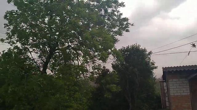 Природа бунтует!