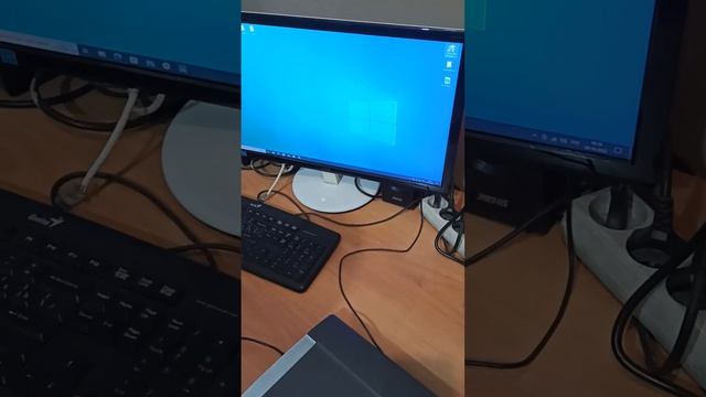Сканер 210 09.10.22 смотреть онлайн
