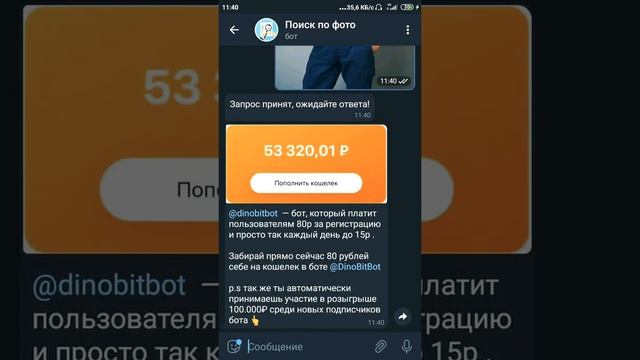 Грибные красоты