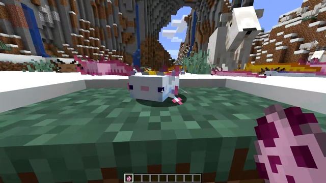 All Axolotl Colors in NEW Minecraft Caves and Cliffs update смотреть онлайн