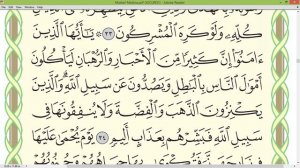 Шейх Айман Сувейд сура Ат Тауба 192