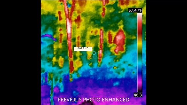 FLIR Walker смотреть онлайн