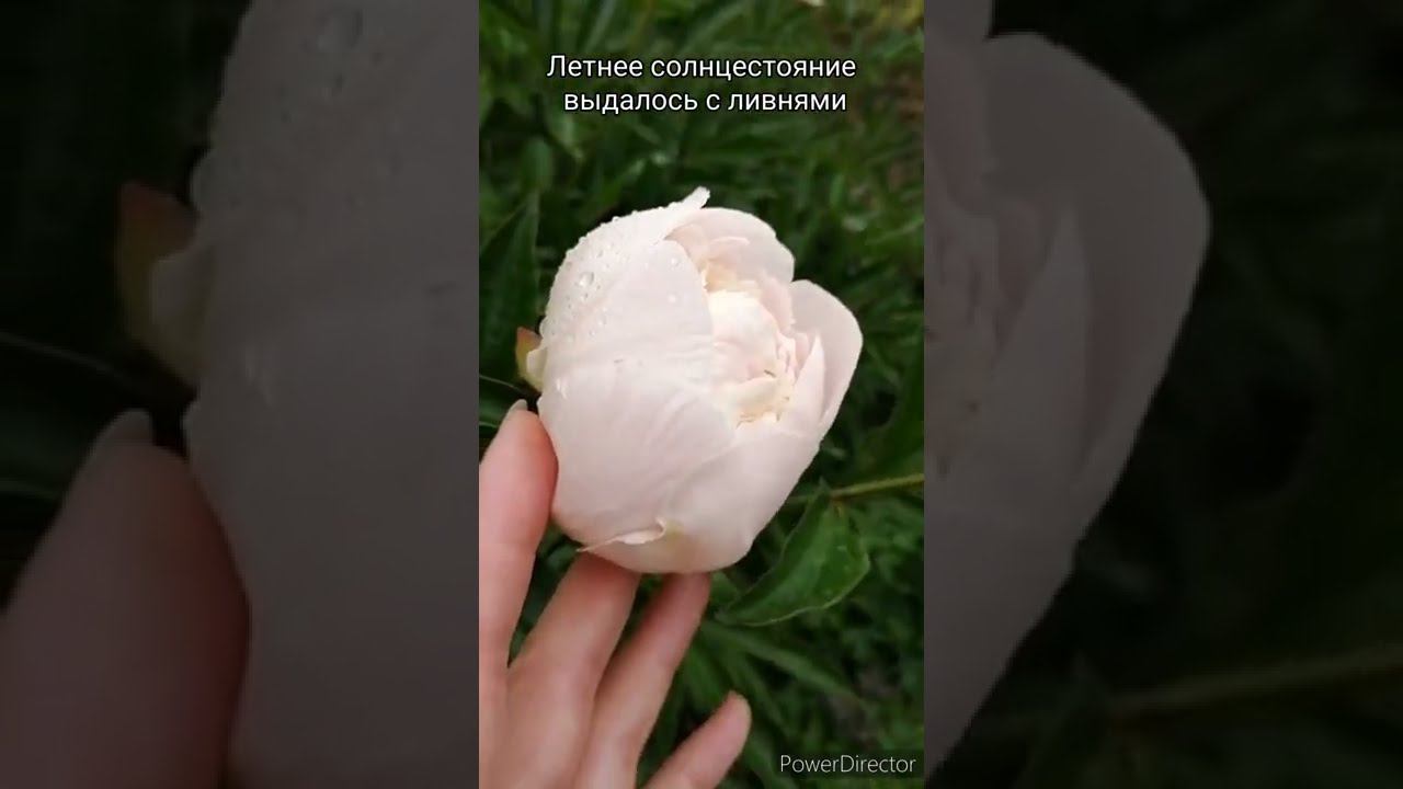 #НеИзданное ранее - #лето2022 что оставалось "#заКадром" смотреть онлайн