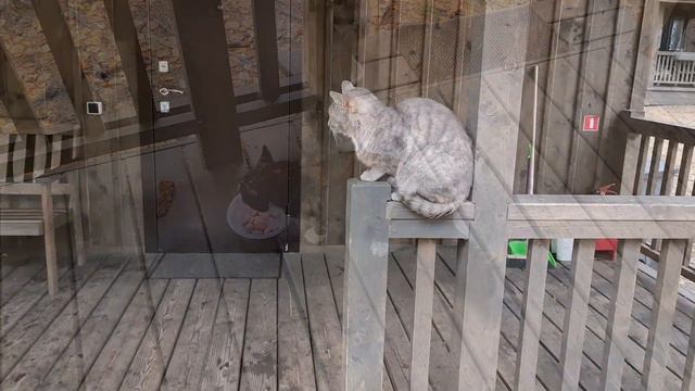 #базаотдыха Янтарный берег Ленинградская обл.