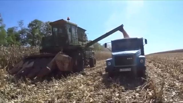 3 День уборки кукурузы. ДОН-1500Б + КМД-6, МТЗ-82.1, ГАЗ-3307. смотреть онлайн