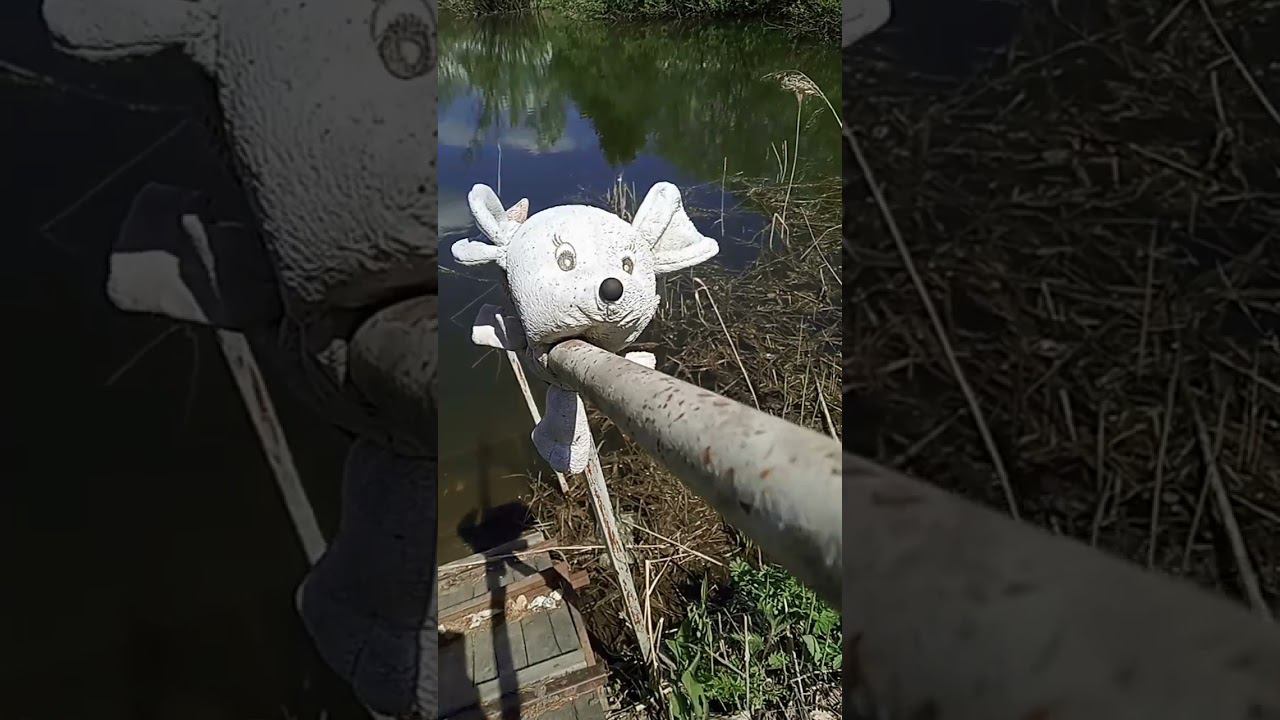 лето пора жаркого куплета #nature