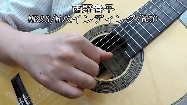 西野春平NR3S/Mバインディング/650 смотреть онлайн