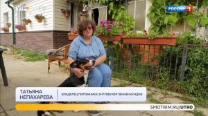 Энтлебухер зенненхунд