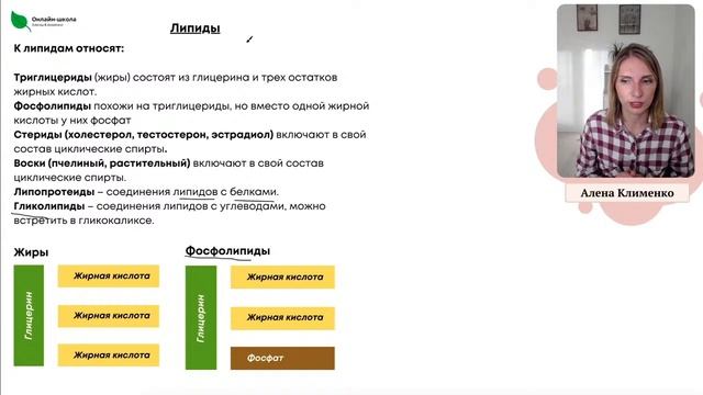 Химический состав клетки смотреть онлайн