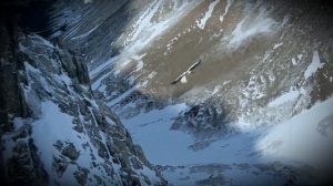 Аист приносит ребенка