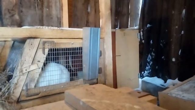 Клетки для кроликов из дерева с реечными полами. смотреть онлайн