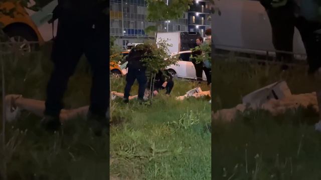 СОЛЕВЬЁ гуляет во время Солевых будней! смотреть онлайн