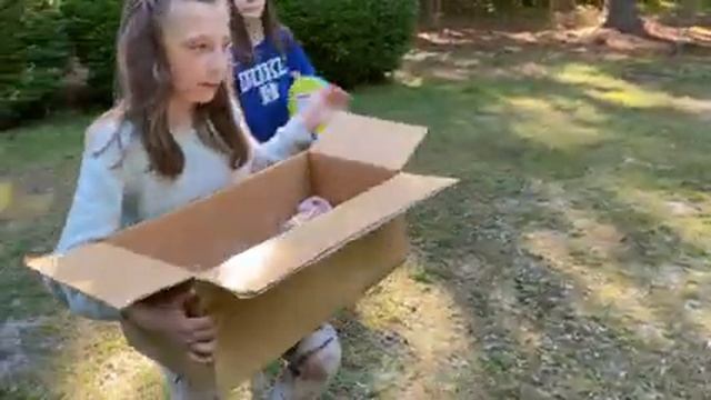 Мы приобрели два Пушистых Котёнка, Первая Фото съемка, Южная Каролина, Влог США смотреть онлайн