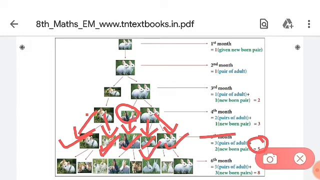 8th maths Example 7.7 |Class 8 Maths Chapter 7 Information Processing|Super brain mathematics |Tami смотреть онлайн