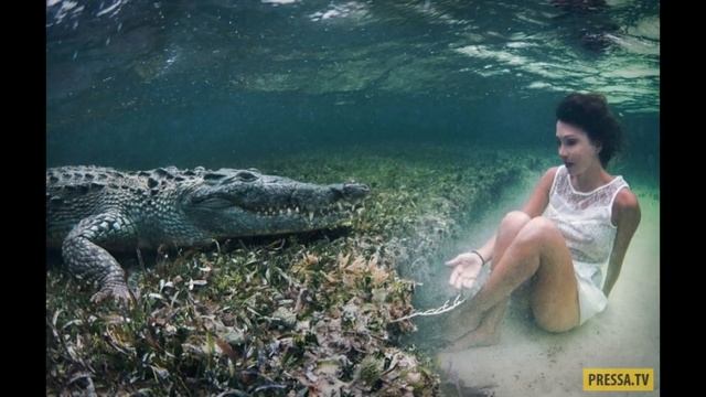 крокодил и девочка