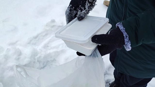 Эдельвейсы, выращиваем из семян. смотреть онлайн