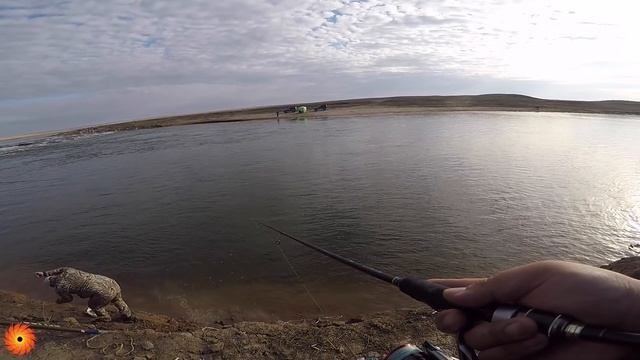 Открытие по жидкой воде 2019. Клад№5, Раздача, Шолак, камни. рыбалка в Нур-Султане (Астане) смотреть онлайн