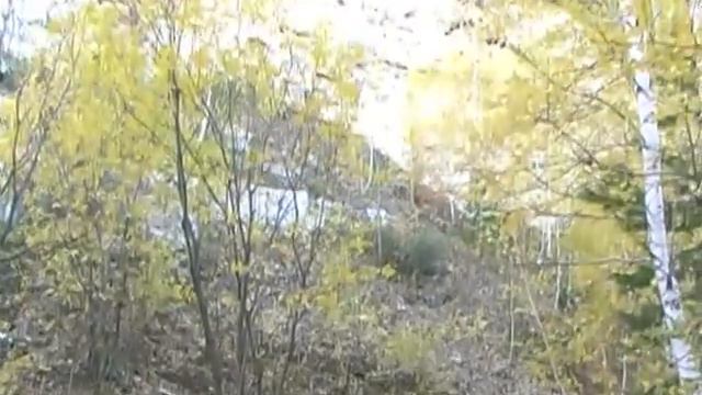 Крестовая поляна смотреть онлайн