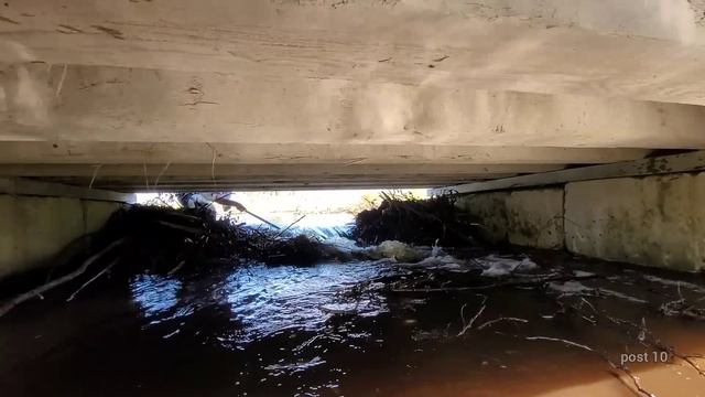 Unclogging Bridge To Drain Huge Road Flood. Beaver Dam Removal смотреть онлайн