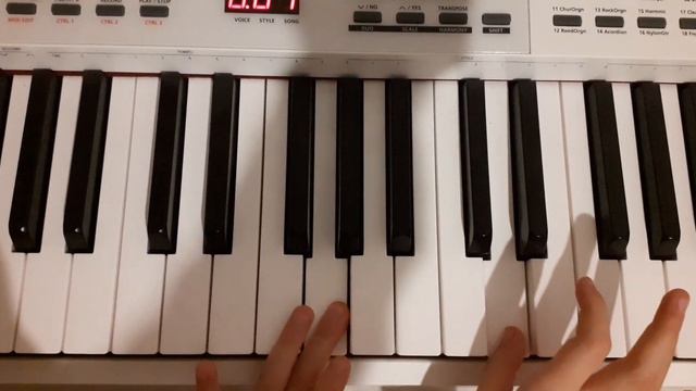 Черемшина. Самоучка на KURZWEIL. смотреть онлайн