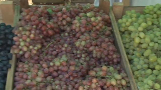 Биогуматы "TUT" от Петра Мануйлова смотреть онлайн