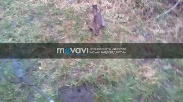 TREKER GC-1065 металлоискатель для начинающих