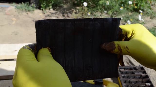 Грибные загадки