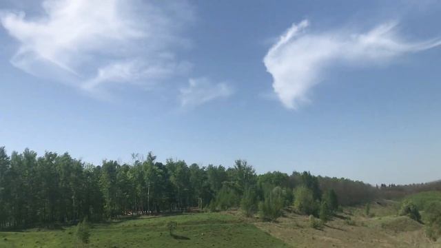 Стихотворение Ямы Линн Духовская смотреть онлайн