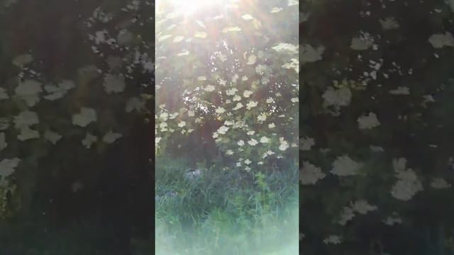 6 июня 2019 г.(3) смотреть онлайн