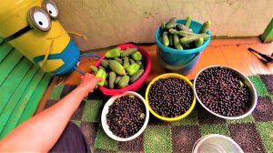 Дела житейские про банки, иван-чай, дрова и сенокос.