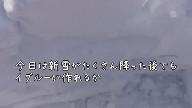 イグルーで雪と親しむ смотреть онлайн