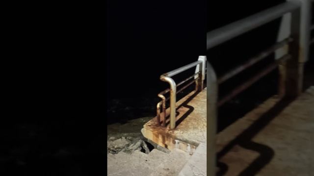 the biggest lions are only in Turkey смотреть онлайн