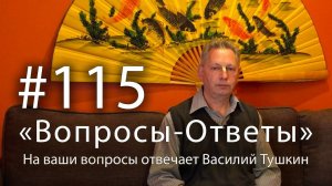«Вопросы-Ответы», Выпуск #115 - Василий Тушкин отвечает на ваши вопросы