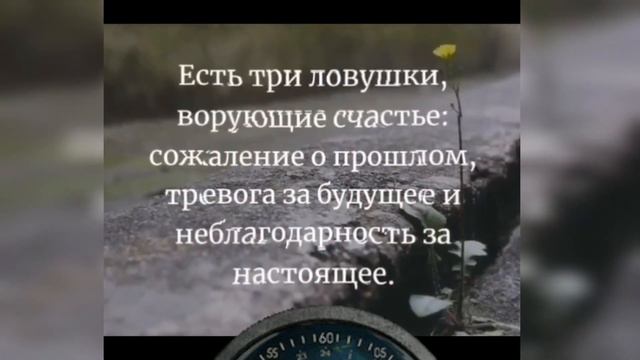 великие цитаты и изречения великих людей, которые могут изменить твою жизнь смотреть онлайн