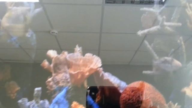 Зеркало со встроенным видеоизображением смотреть онлайн