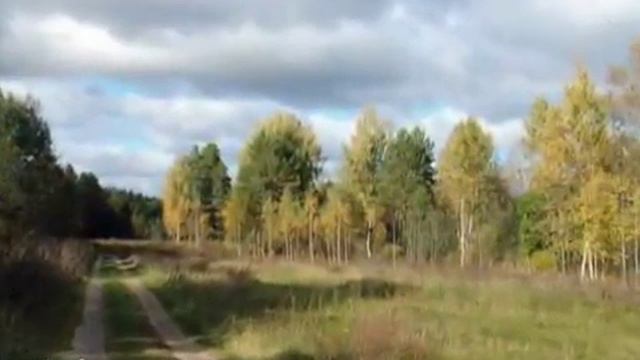 Прекрасен ты осенний лес смотреть онлайн