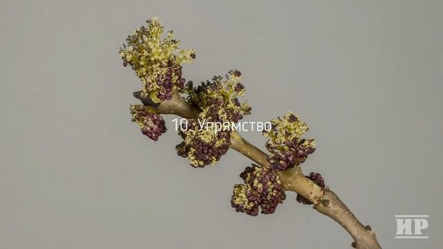Срочно УБЕРИ ЭТО из своей жизнь или 20 принципов счастья смотреть онлайн
