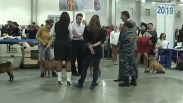 Россия 2011. Класс Юниоров смотреть онлайн