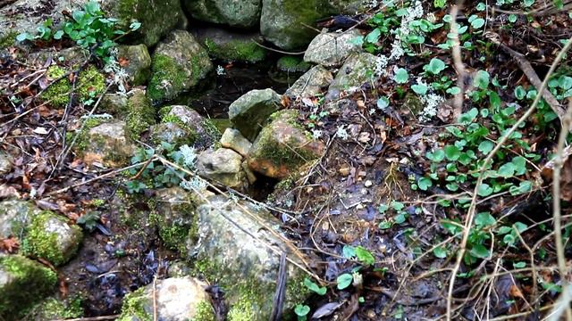 Источник у ручья Молбай-Узень смотреть онлайн