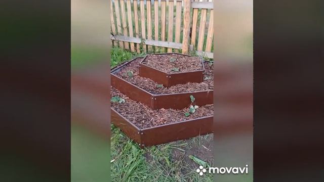 Клумба горка для клубники.