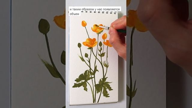 Простые цветы гуашью смотреть онлайн
