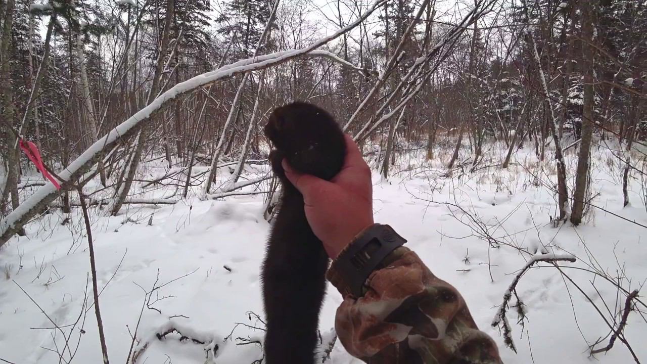 ПОЕЗДКА В ТАЁЖНОЕ ЗИМОВЬЁ, на Suzuki Jimny 2 ЧАСТЬ. смотреть онлайн