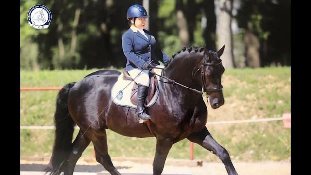 Para Riders at Tokyo 2020 Paralympic Games 23Aug2021 смотреть онлайн