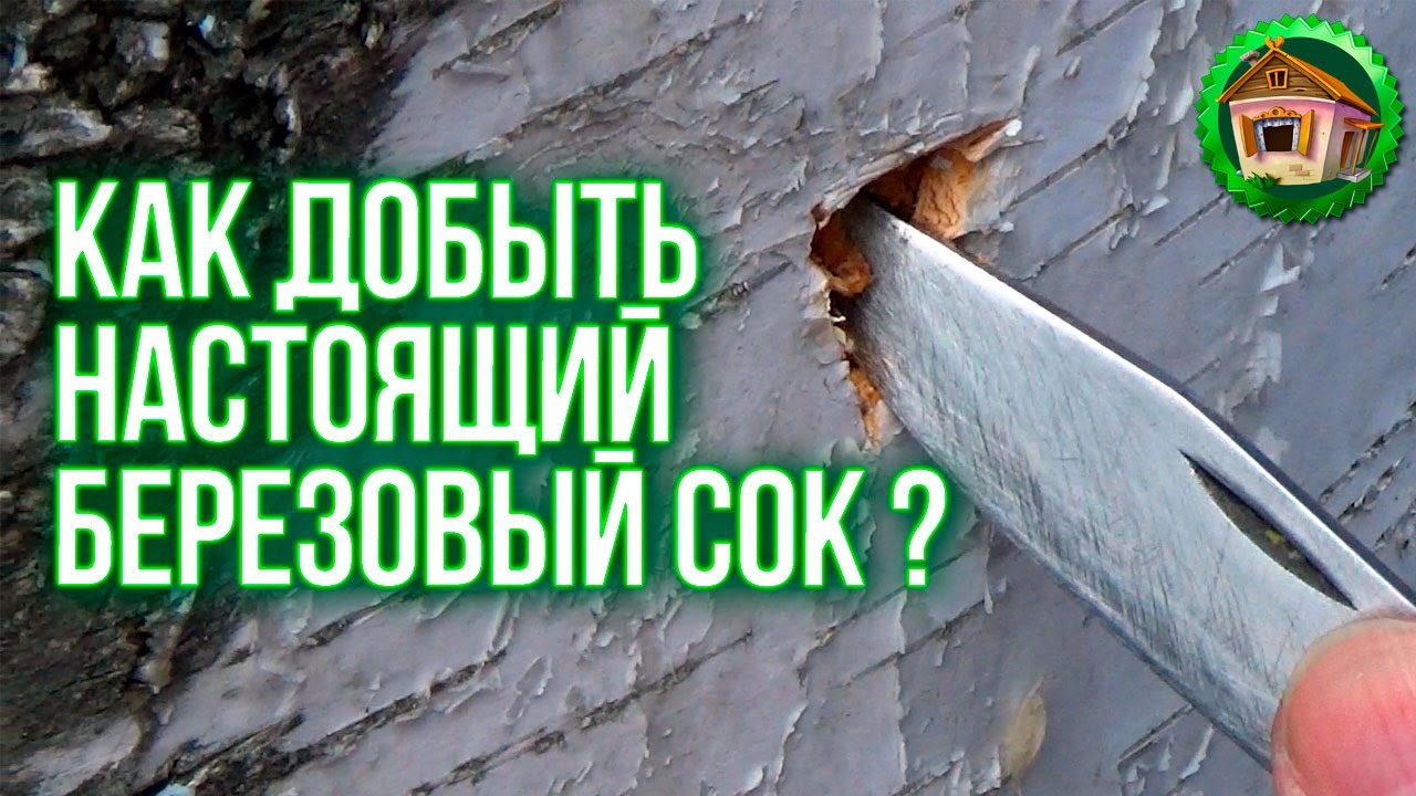 Настоящий березовый сок? Самый деревенский сОК. Жизнь в Деревне. 3 серия Лучше Чем в Городе. смотреть онлайн